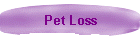 Pet Loss